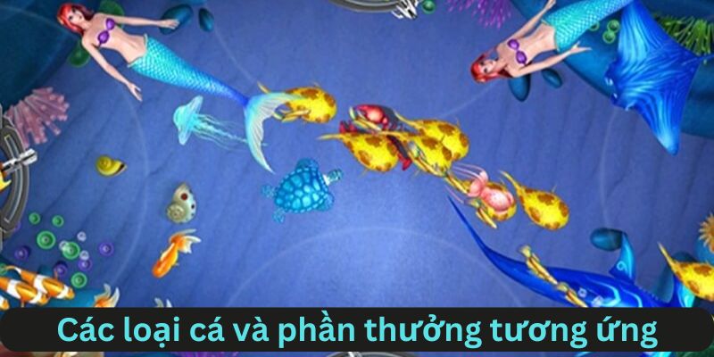 Phân loại cá và những phần thưởng